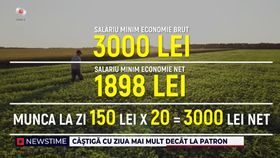 Muncitorii cu ziua, din ce în ce mai greu de găsit. Românii spun că zilierii au pretenții mult prea mari: „100 de lei nu merge”